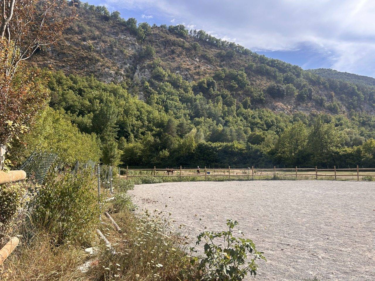 Propriet&agrave; equestre In vendita 