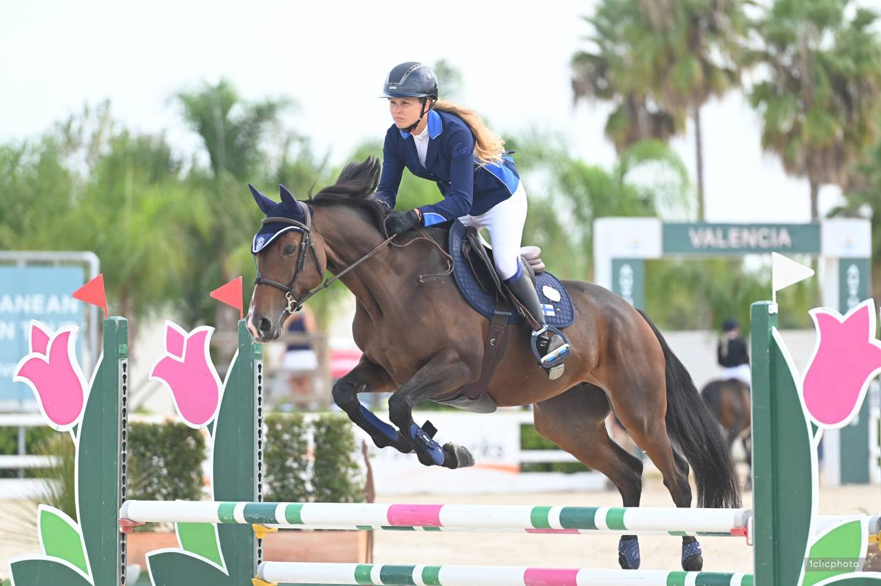 Cavalla Sella Francese In vendita 2017 Baio