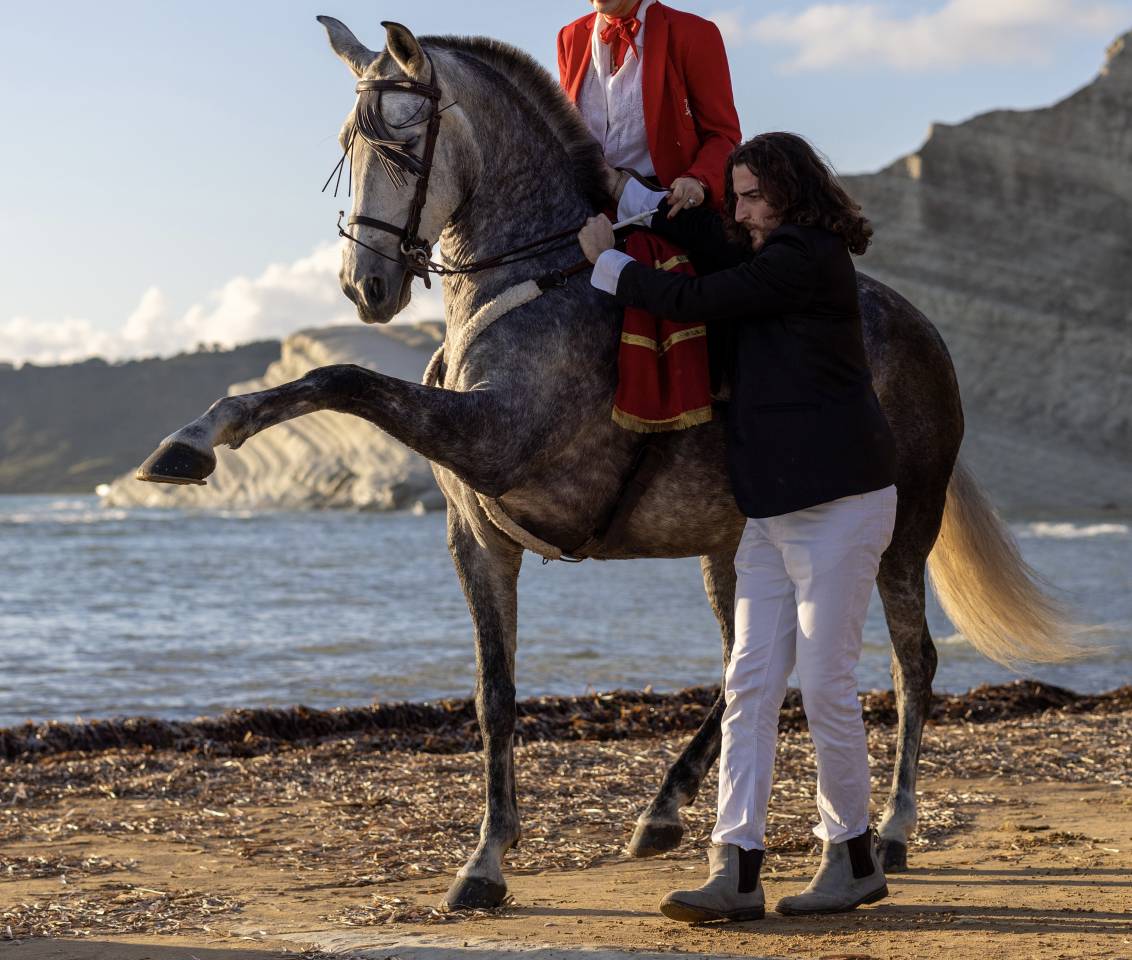 Cavalla Andalusa PRE in Alta Scuola