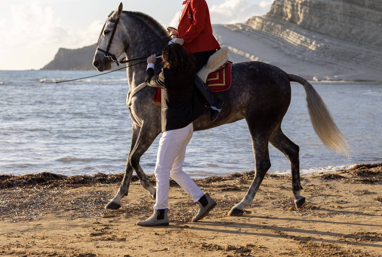 Cavalla Andalusa PRE in Alta Scuola