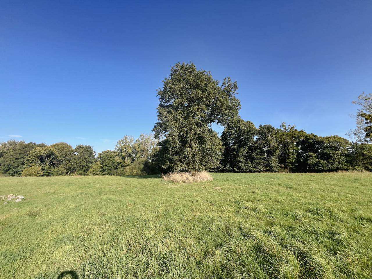 Casa in campagna In vendita Ile-et-Vilaine