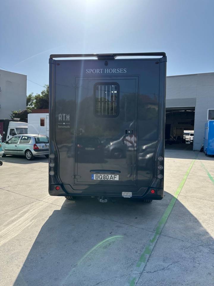 Van per Cavalli Renault Renault master 2024 Nuovo