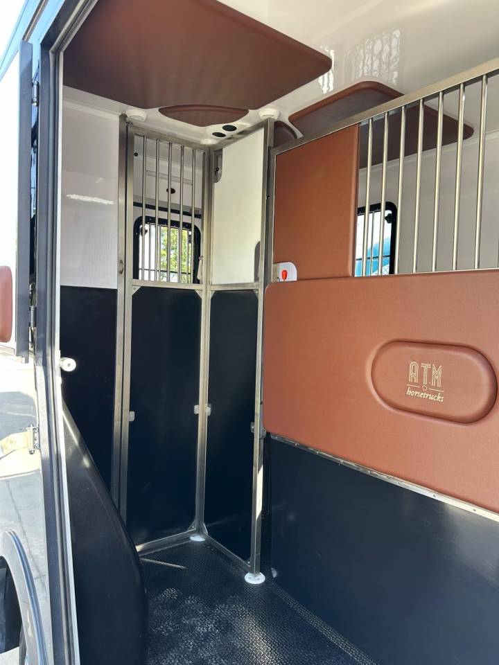 Van per Cavalli Renault Renault master 2024 Nuovo