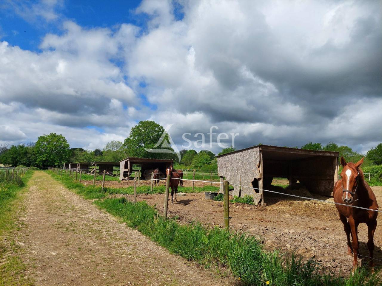 Propriet&agrave; equestre In vendita Loire-Atlantique