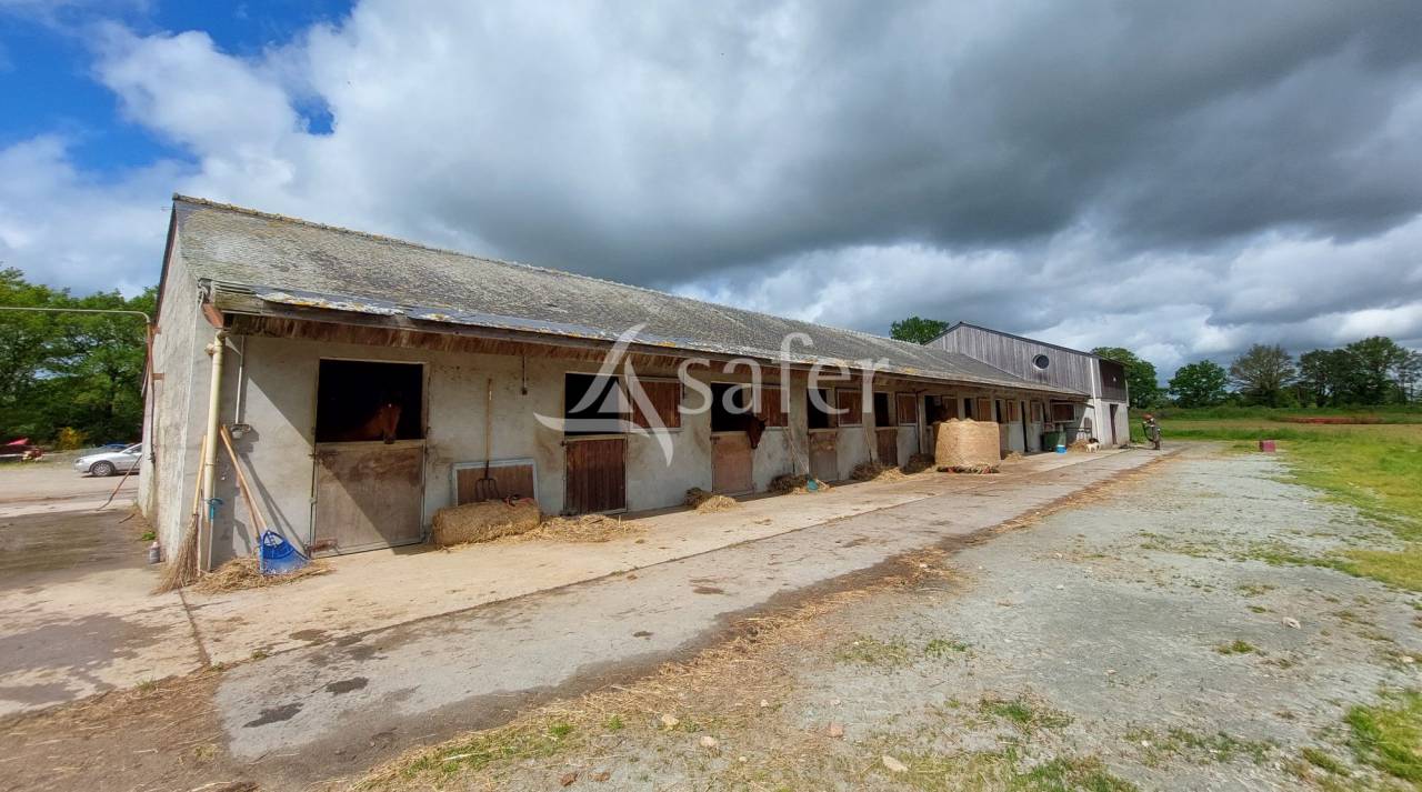 Propriet&agrave; equestre In vendita Loire-Atlantique