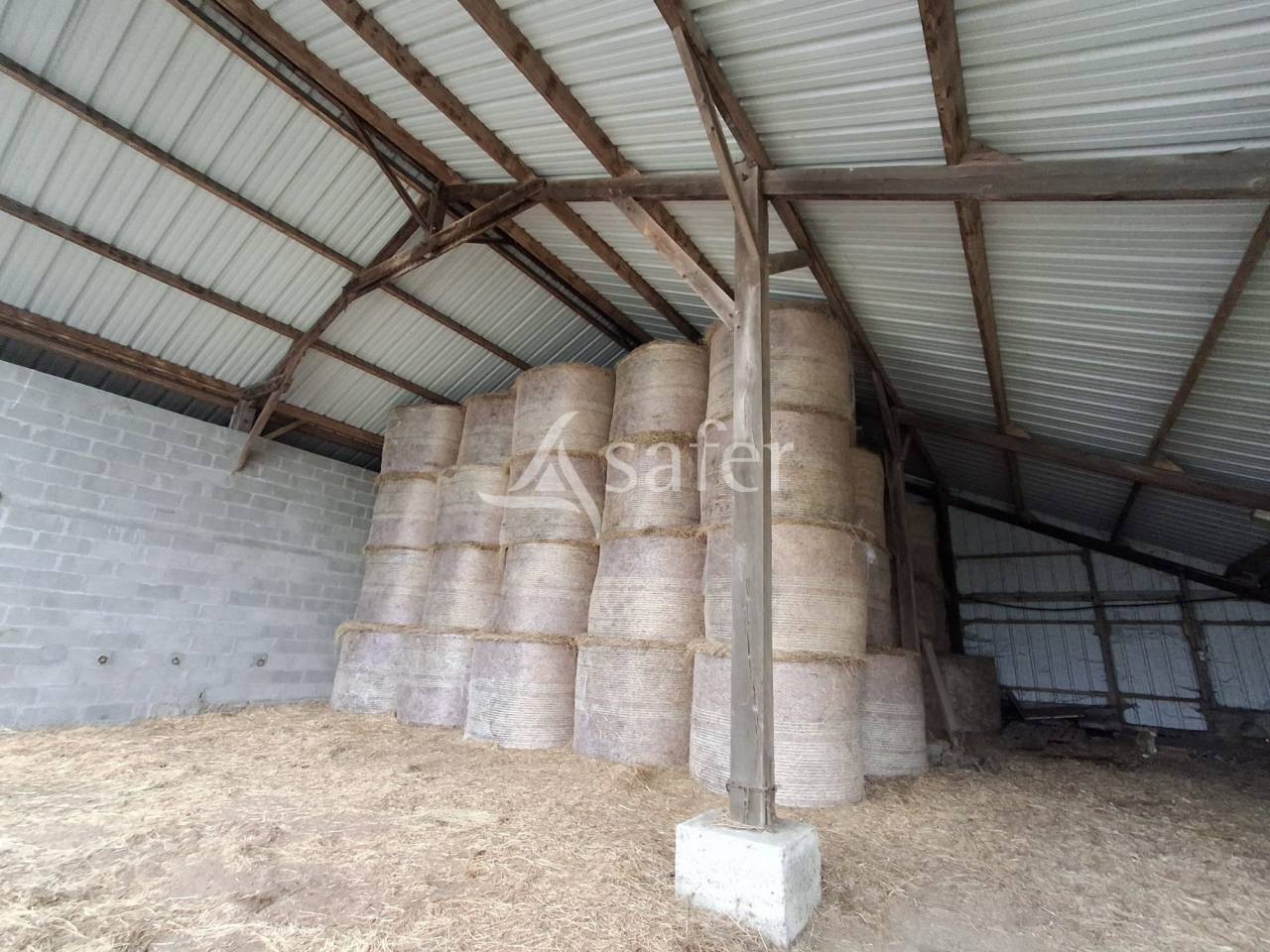 Azienda agricola In vendita Loire-Atlantique