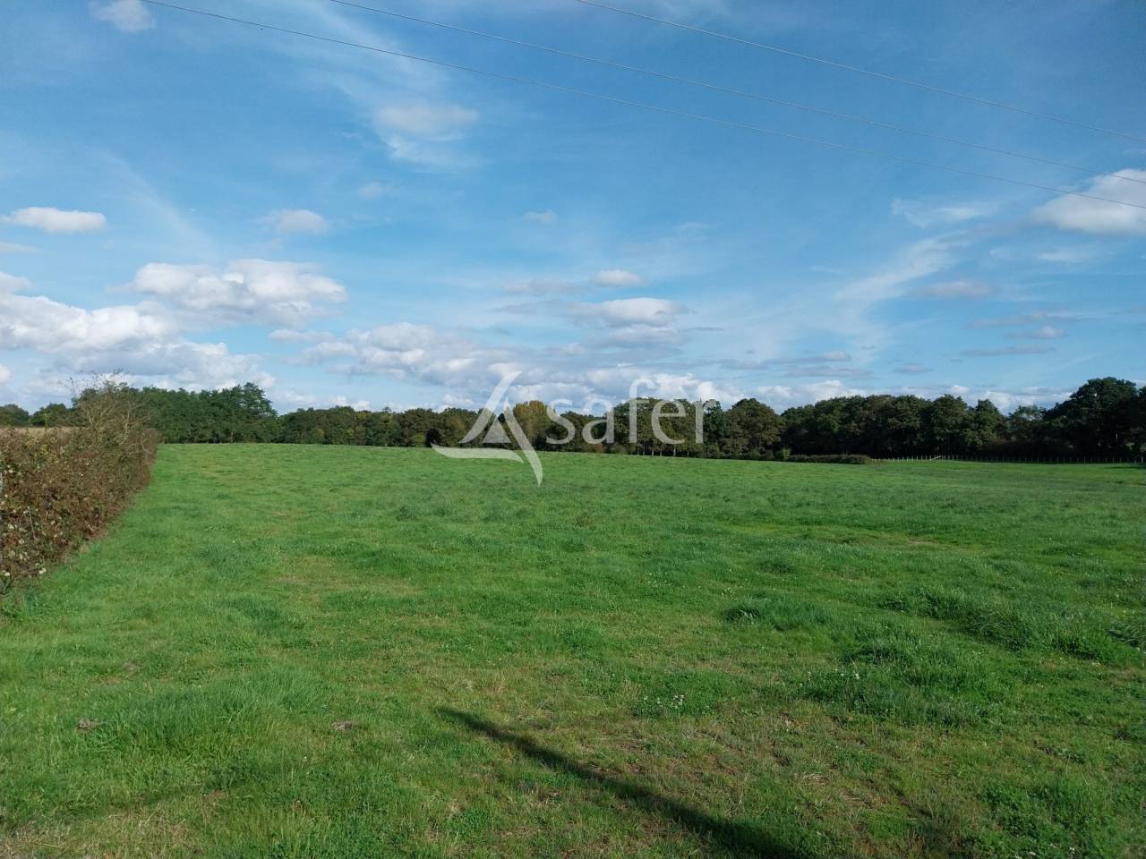 Azienda agricola In vendita Loire-Atlantique