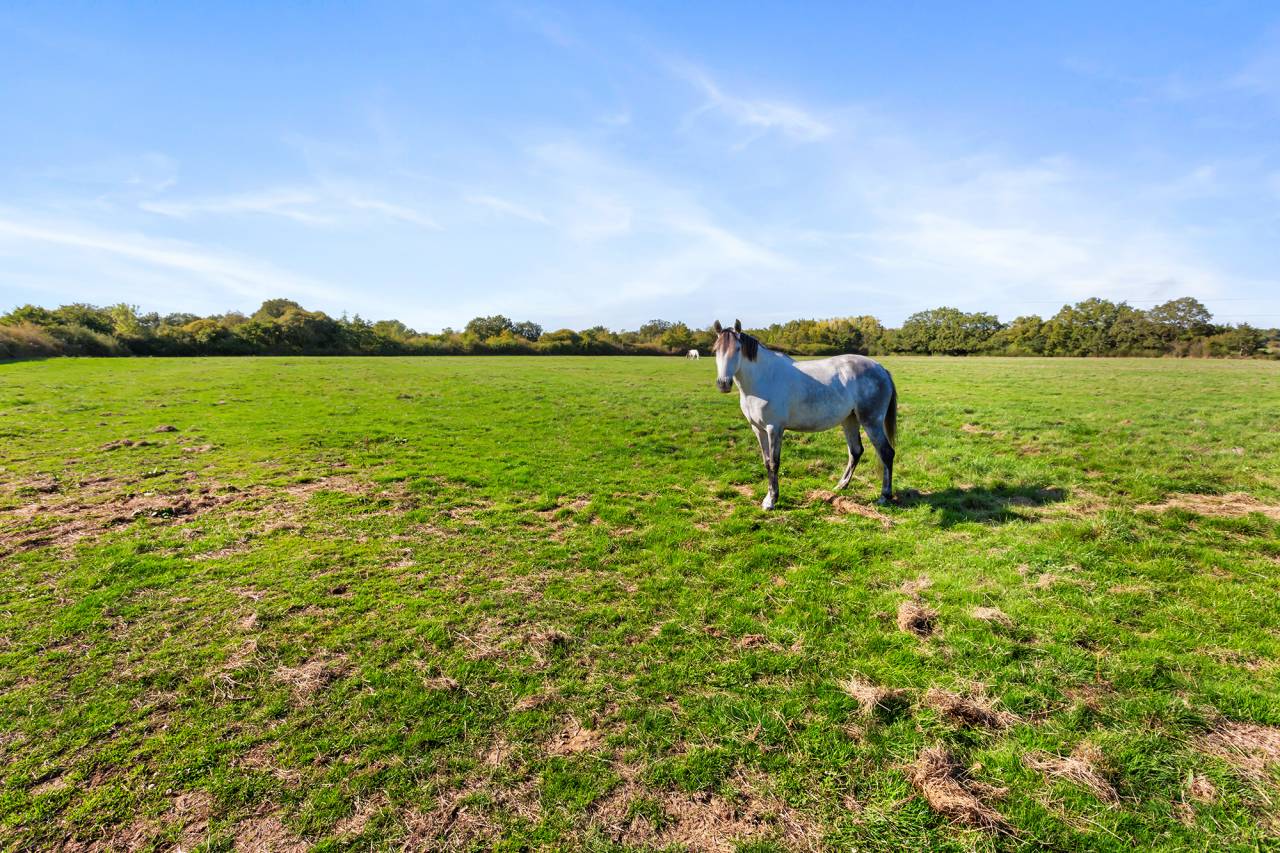 Scuderia per proprietari In vendita Loire-Atlantique