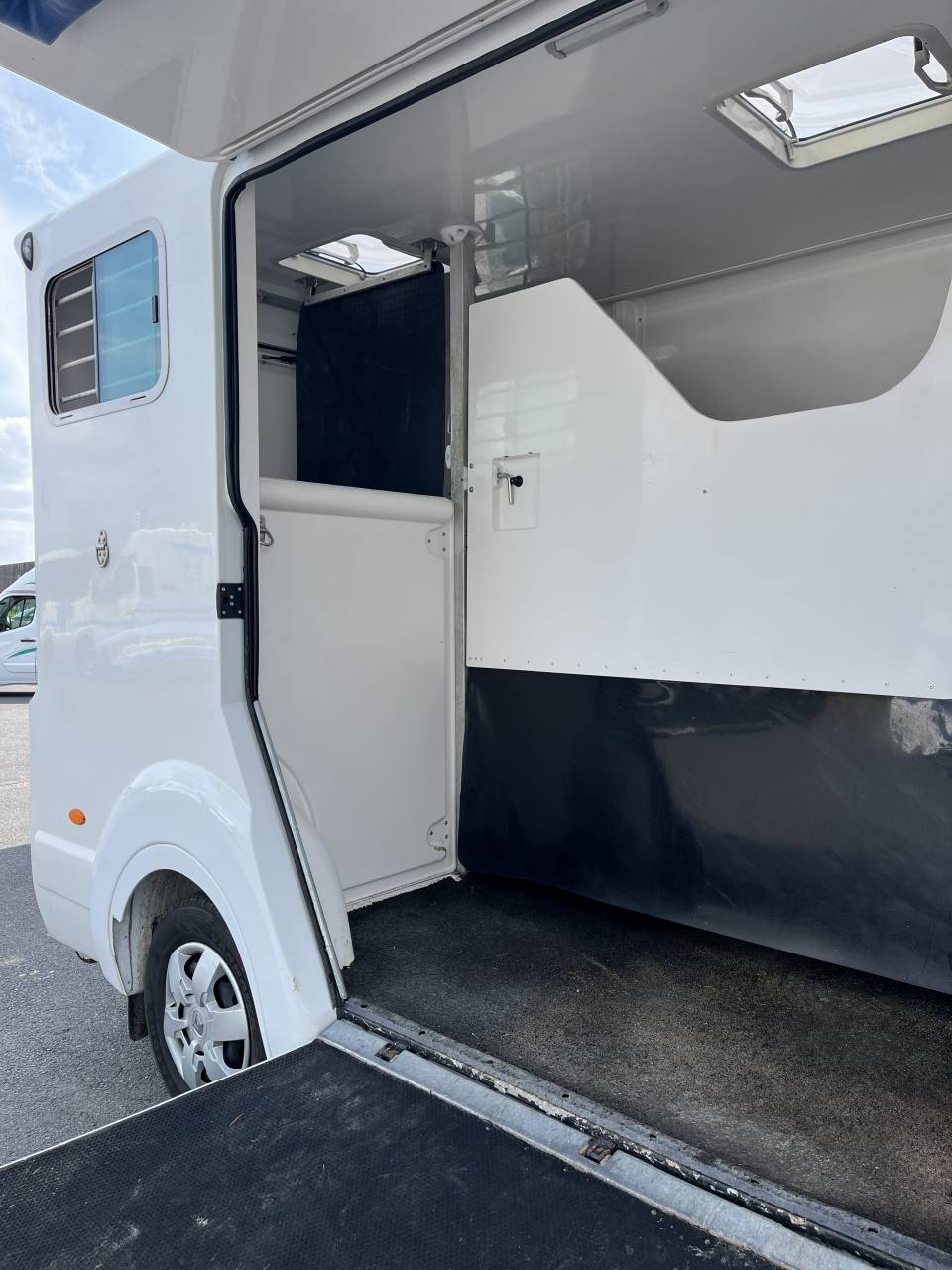 Van per Cavalli Barbot D5 2021 Occasione