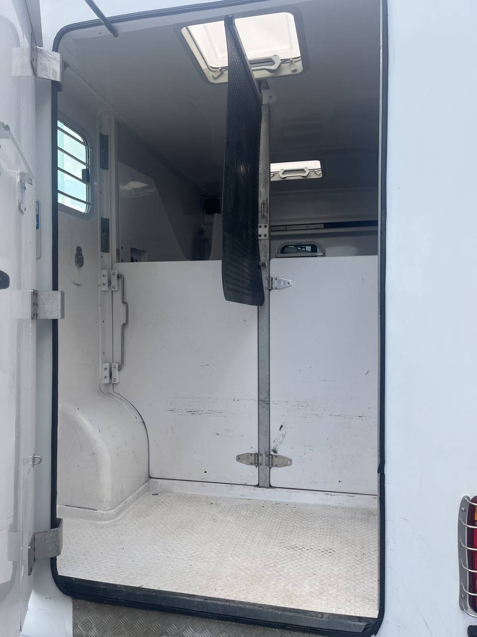 Van per Cavalli Barbot D5 2021 Occasione