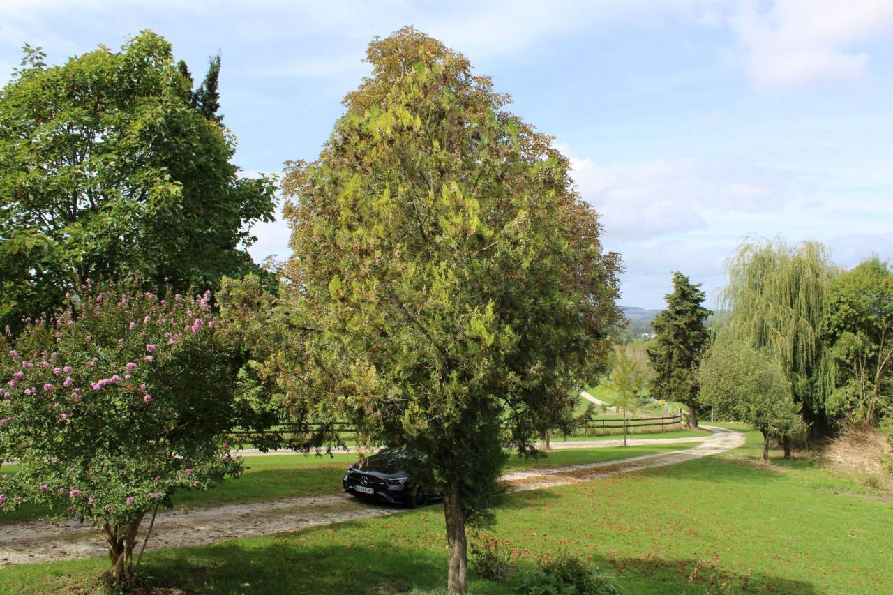 Proprietà equestre In vendita Lot-et-Garonne