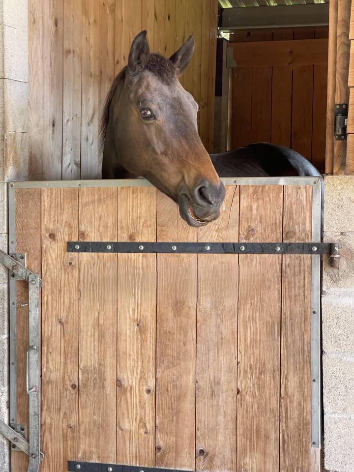 Propriet&agrave; equestre In vendita Gironde