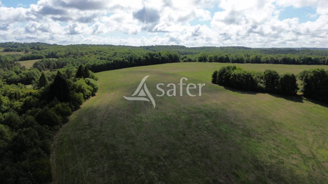 Azienda ovina In vendita Dordogne