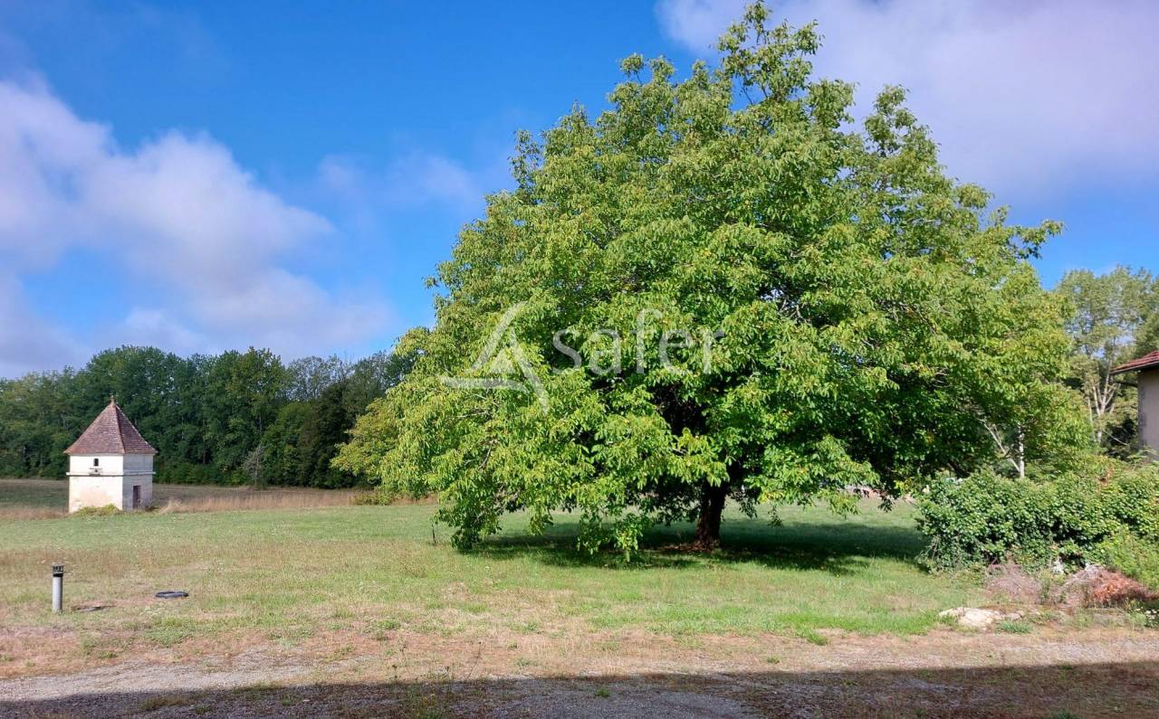 Azienda ovina In vendita Dordogne