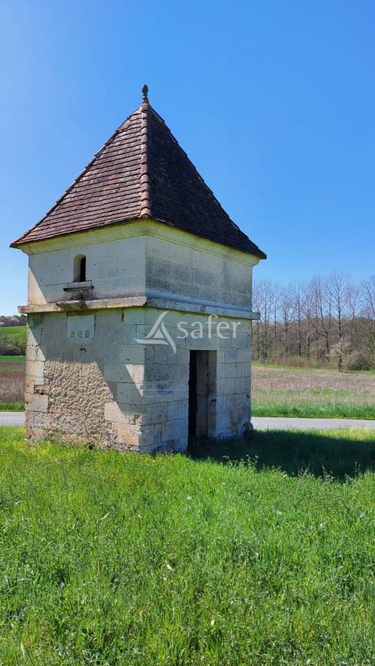 Azienda ovina In vendita Dordogne