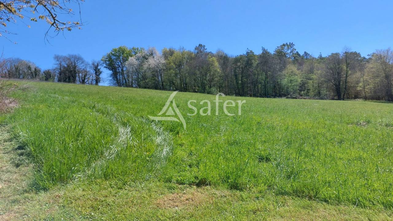Azienda ovina In vendita Dordogne