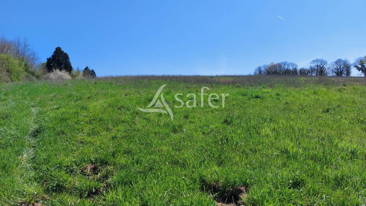 Azienda ovina In vendita Dordogne