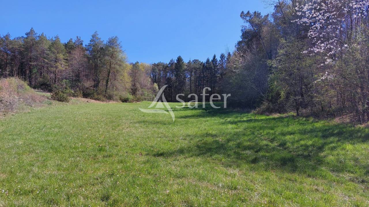 Azienda ovina In vendita Dordogne