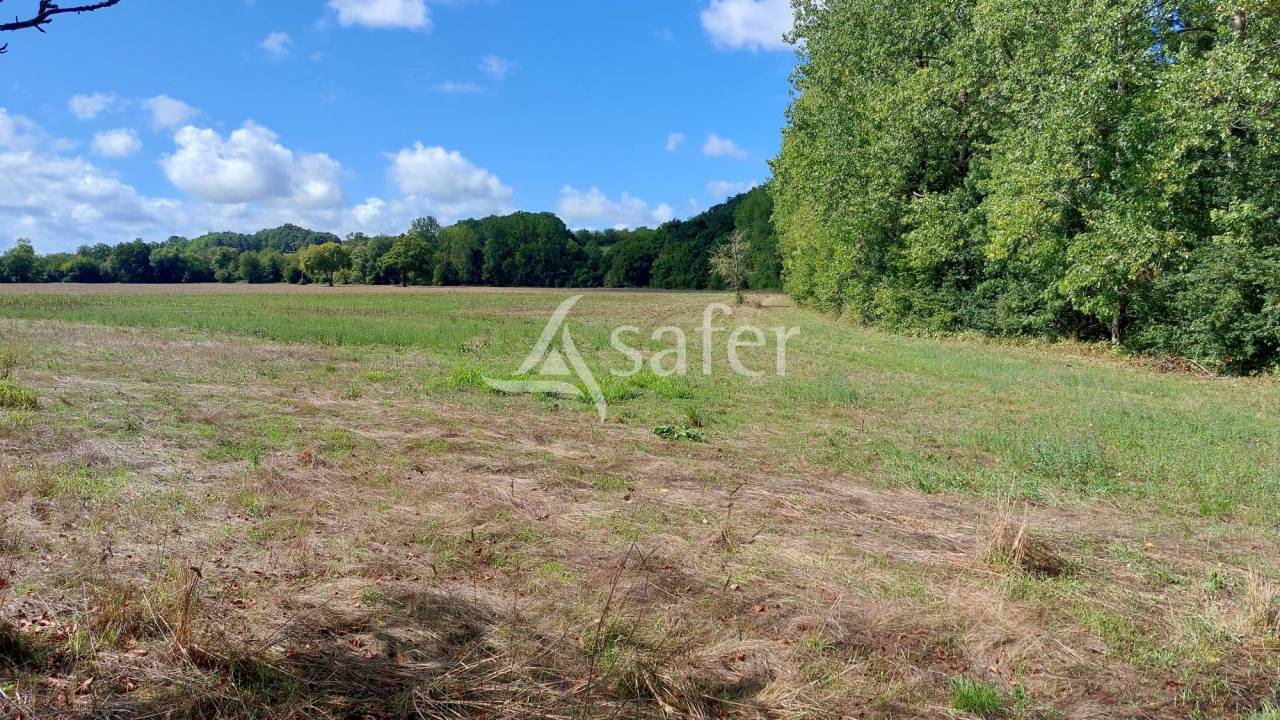 Azienda ovina In vendita Dordogne