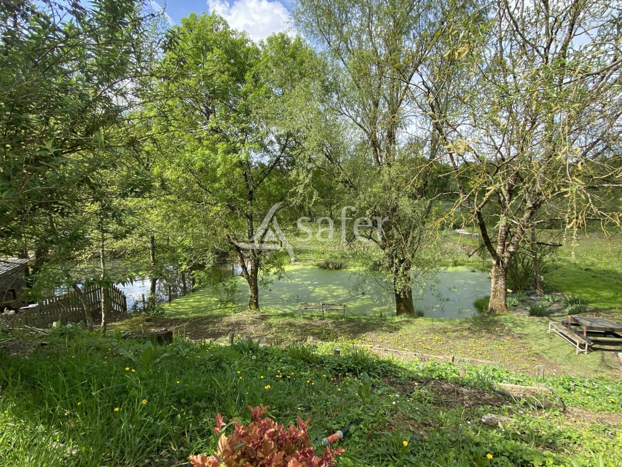 Proprietà equestre In vendita Ain