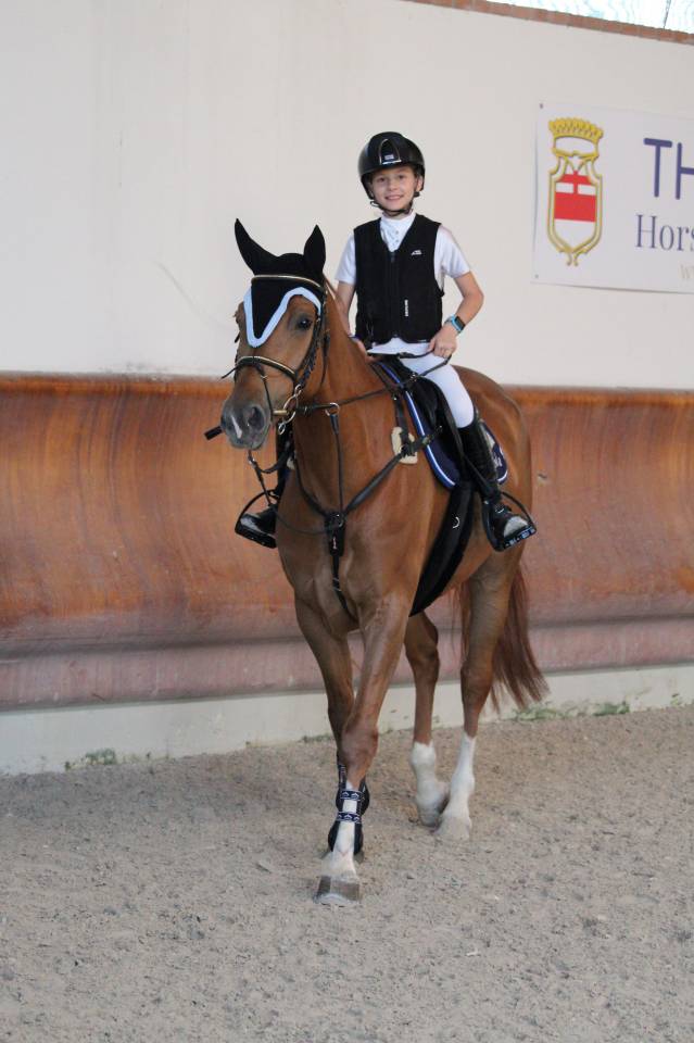  Cavalla zangersheide 2019