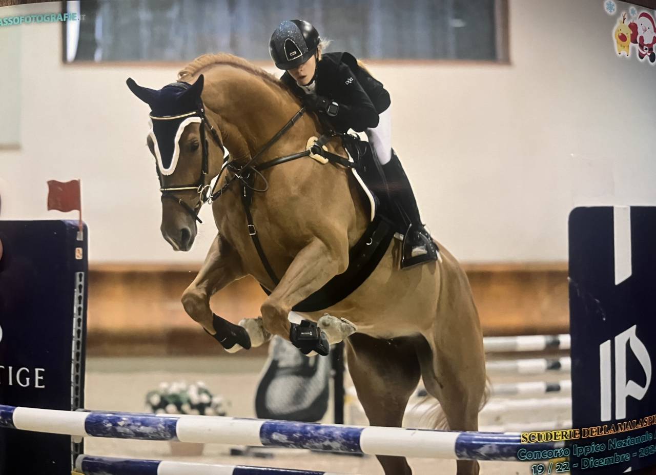  Cavalla zangersheide 2019