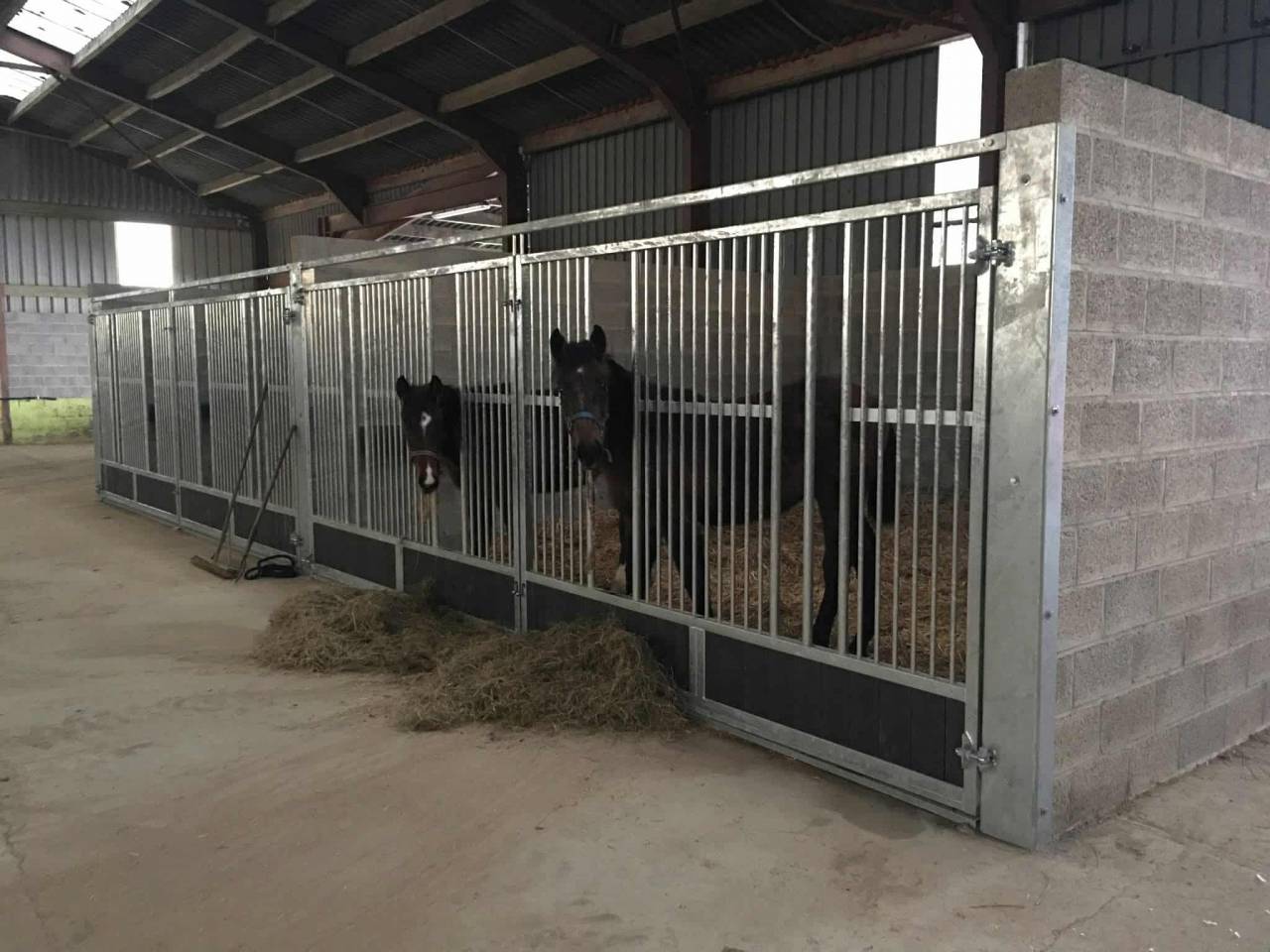 Proprietà equestre In vendita Luxembourg belge