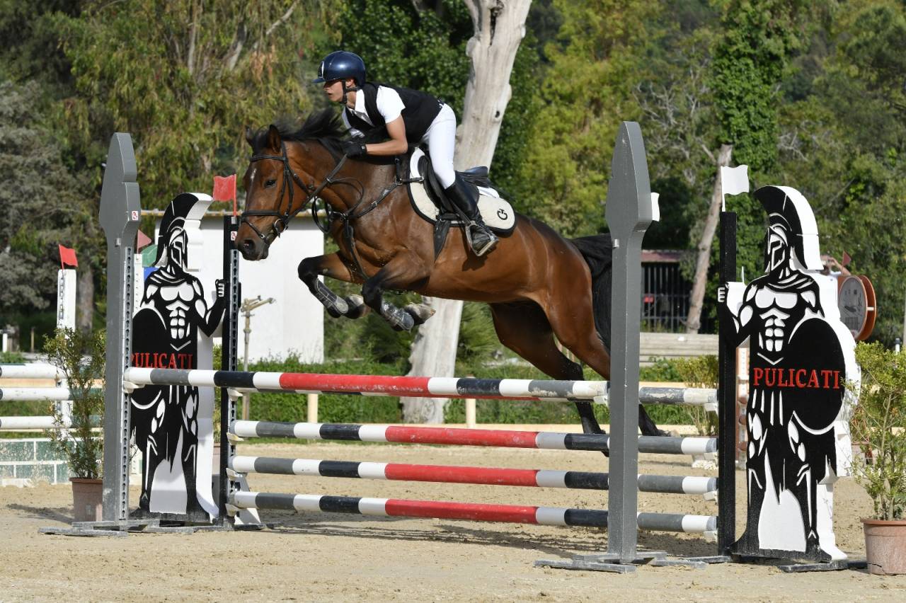 KWPN 2019 - Castrone da Salto - Linea Kannan Jr 