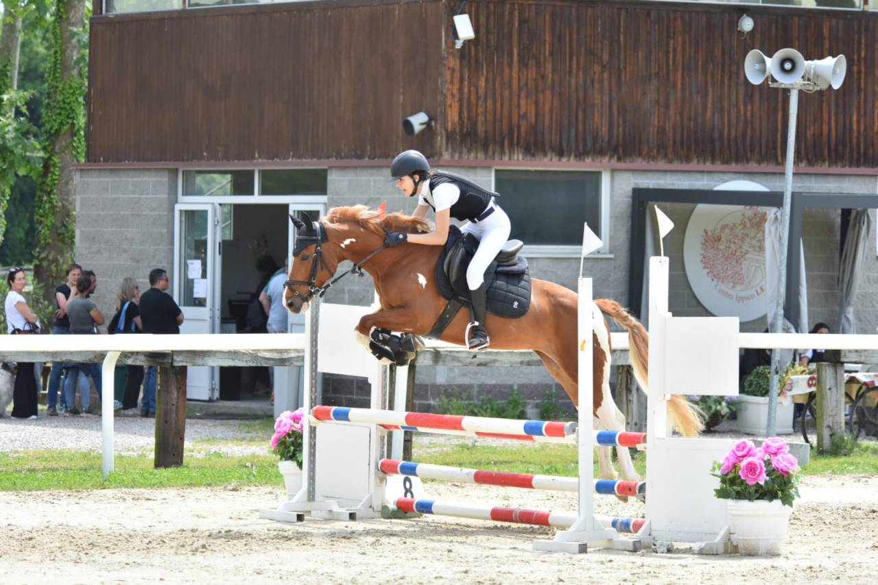 Vendita pony sportiva del 2017