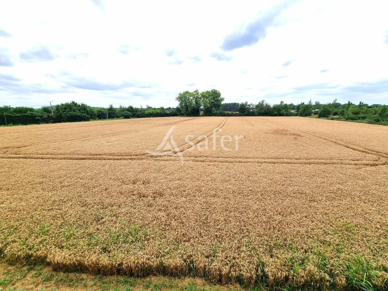 Proprietà rurale In vendita Tarn-et-Garonne