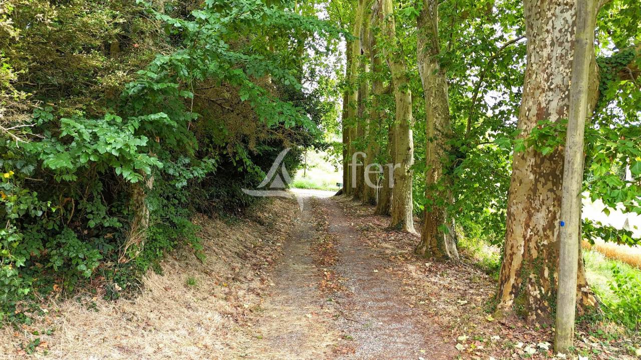 Proprietà rurale In vendita Tarn-et-Garonne