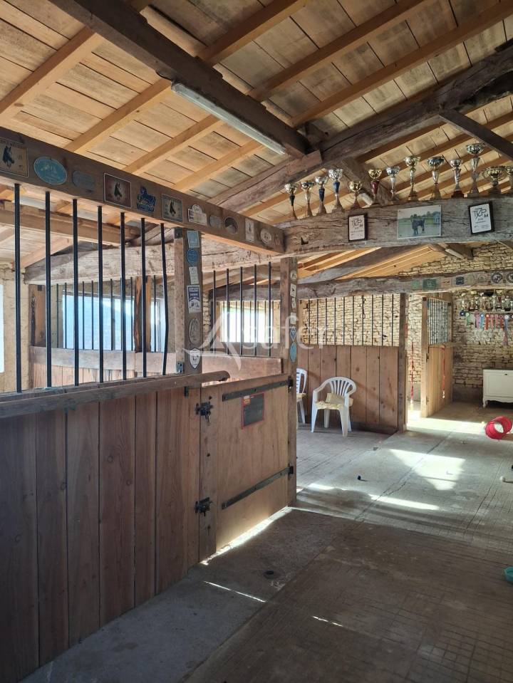 Azienda agricola In vendita Charente-Maritime