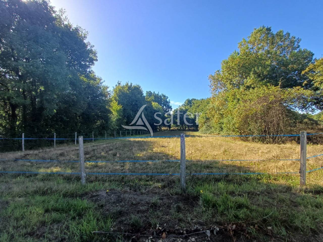 Azienda agricola In vendita Charente-Maritime