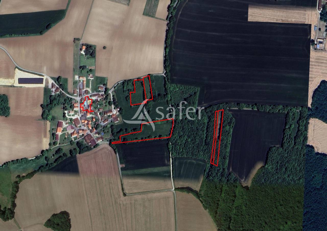 Azienda agricola In vendita Charente-Maritime