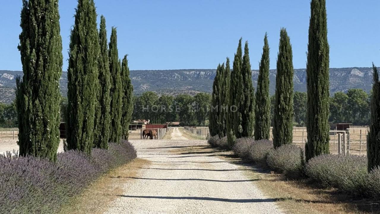 Centro di stagione cavallo In vendita Bouches-du-Rhône