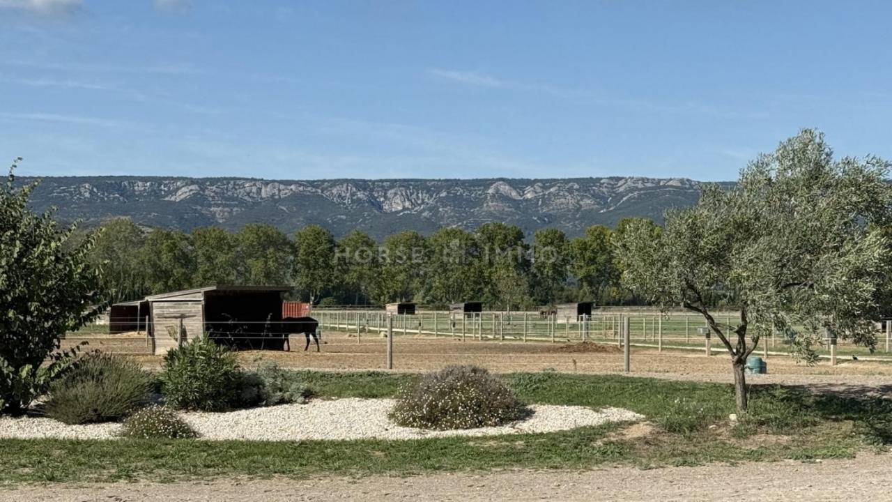 Centro di stagione cavallo In vendita Bouches-du-Rhône