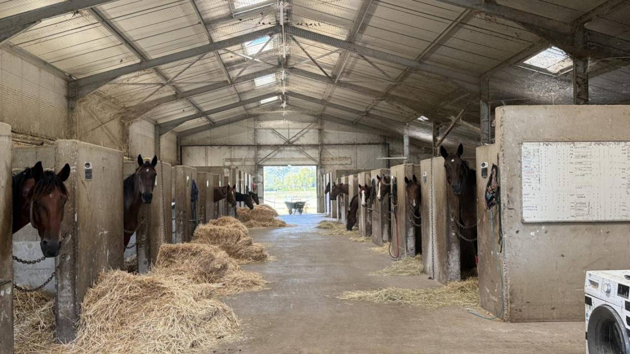 Centro di stagione cavallo In vendita Bouches-du-Rhône