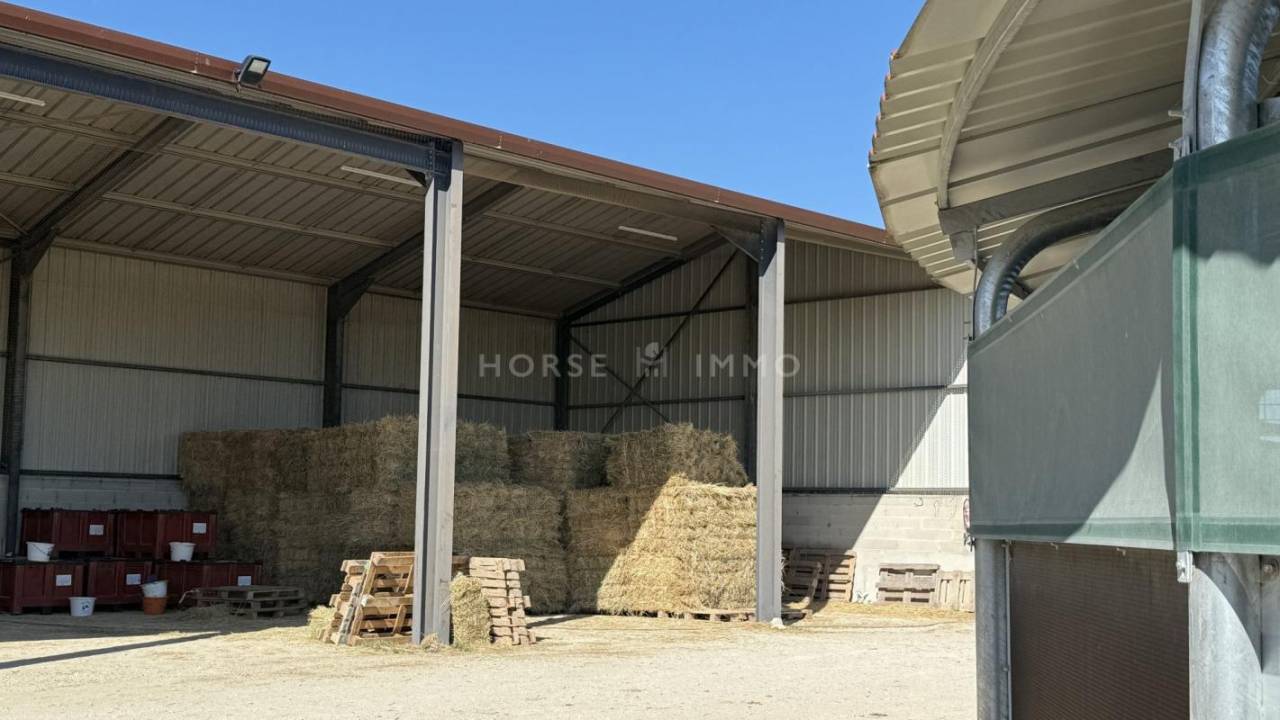 Centro di stagione cavallo In vendita Bouches-du-Rhône