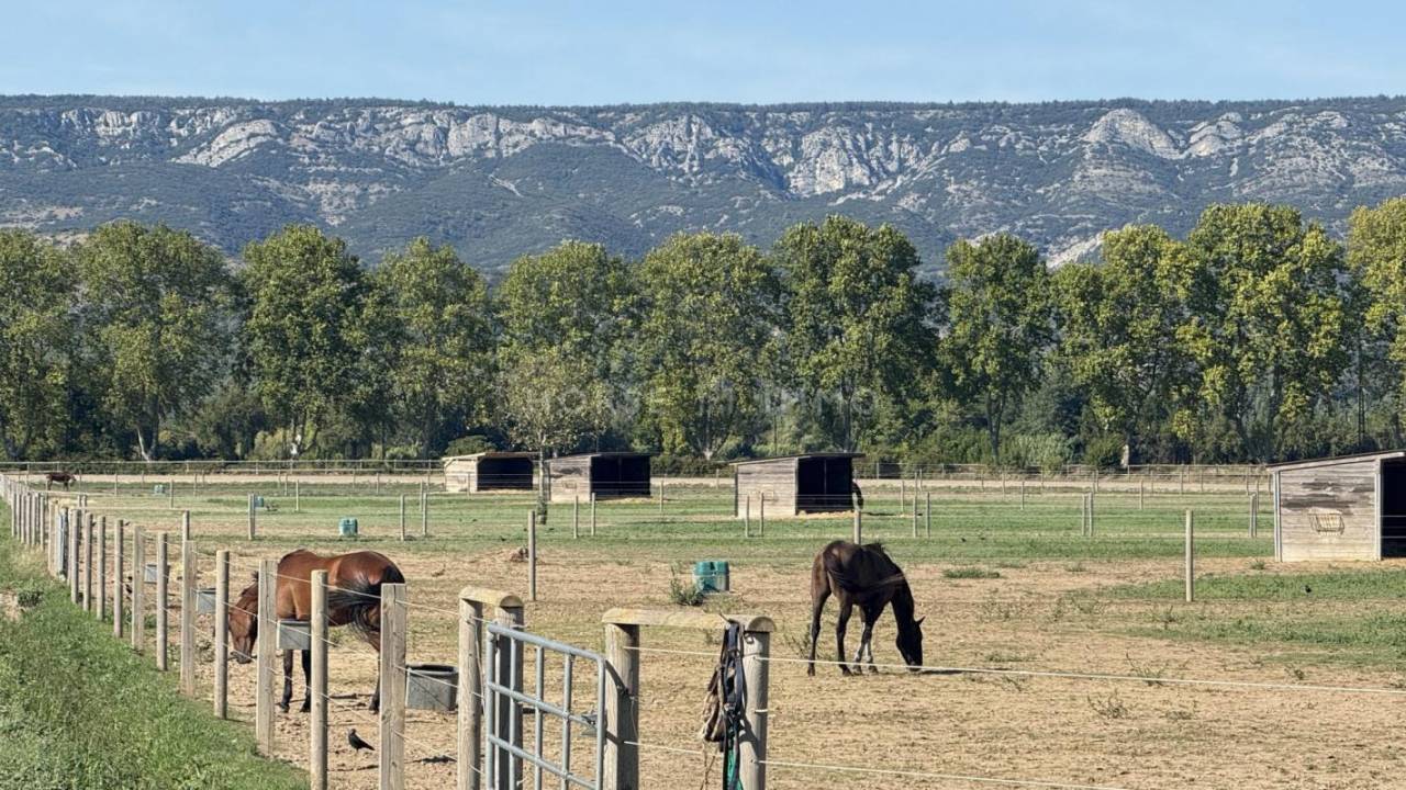Centro di stagione cavallo In vendita Bouches-du-Rhône