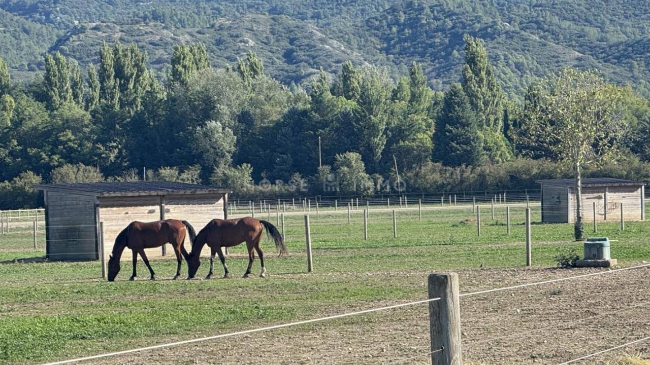 Centro di stagione cavallo In vendita Bouches-du-Rhône