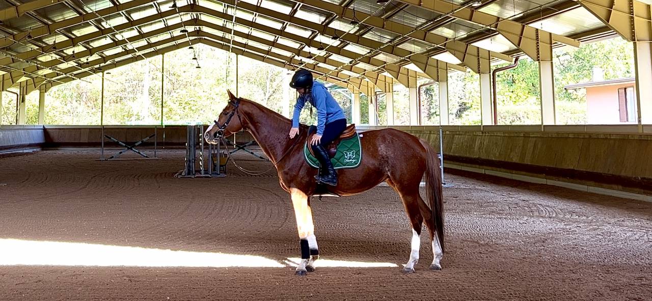 IN VENDITA – FATTRICE DI QUALITÀ