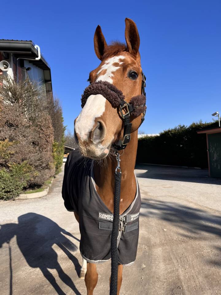 IN VENDITA – FATTRICE DI QUALITÀ