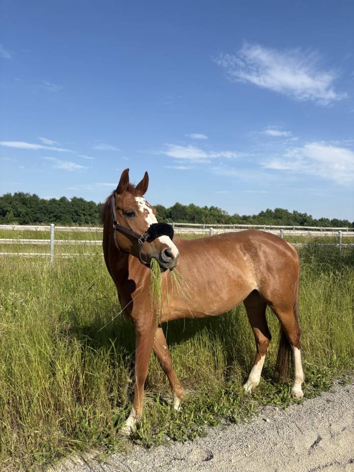IN VENDITA – FATTRICE DI QUALITÀ