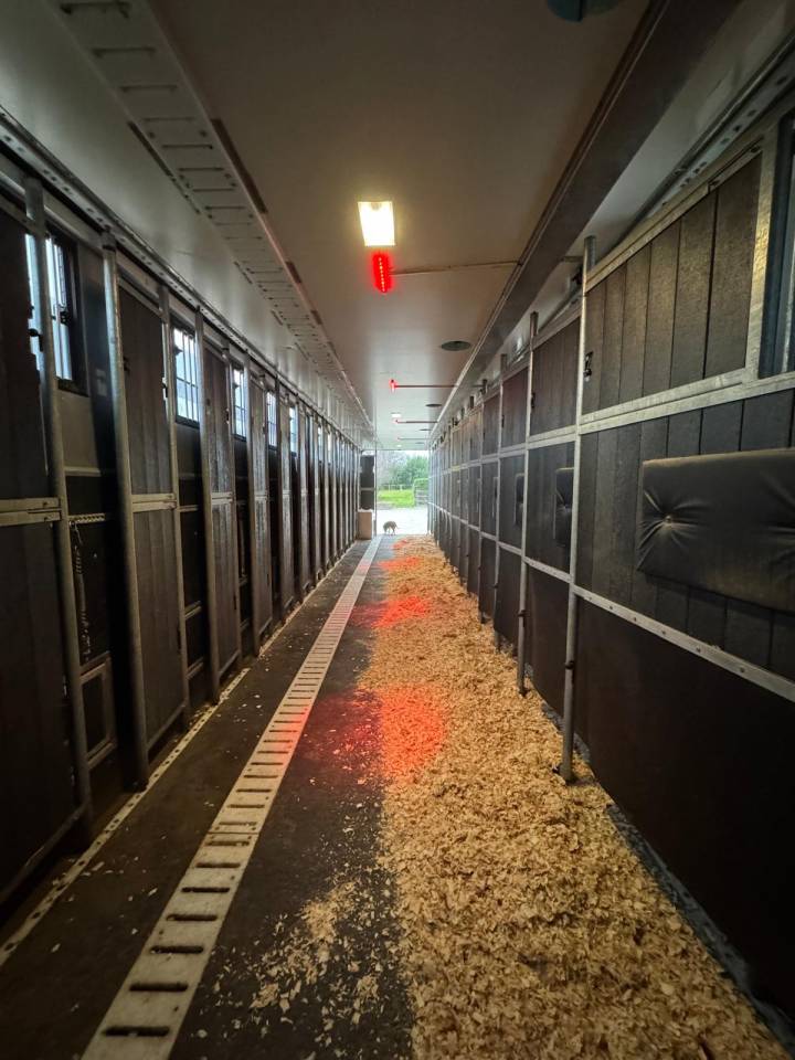 Semirimorchio Cavalli - Altra marca -  2021 Occasione