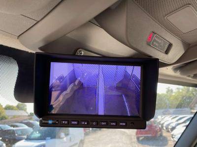 Van per Cavalli Opel Movano 2021 Nuovo