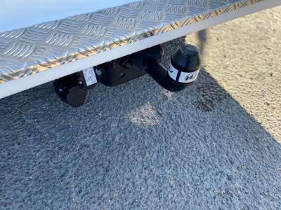 Van per Cavalli Opel Movano 2021 Nuovo