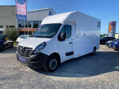 Van per Cavalli Opel Movano 2021 Nuovo