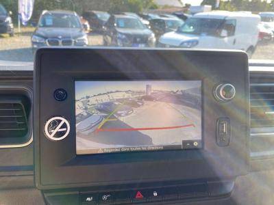 Van per Cavalli Opel Movano 2021 Nuovo