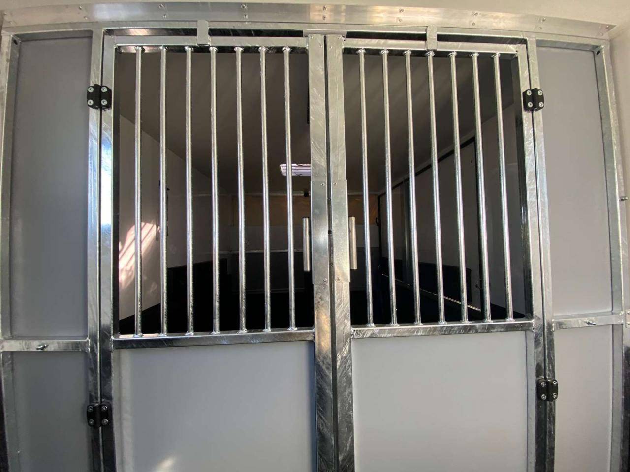 Van per Cavalli Opel Movano 2021 Nuovo