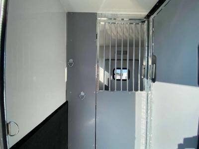 Van per Cavalli Opel Movano 2021 Nuovo